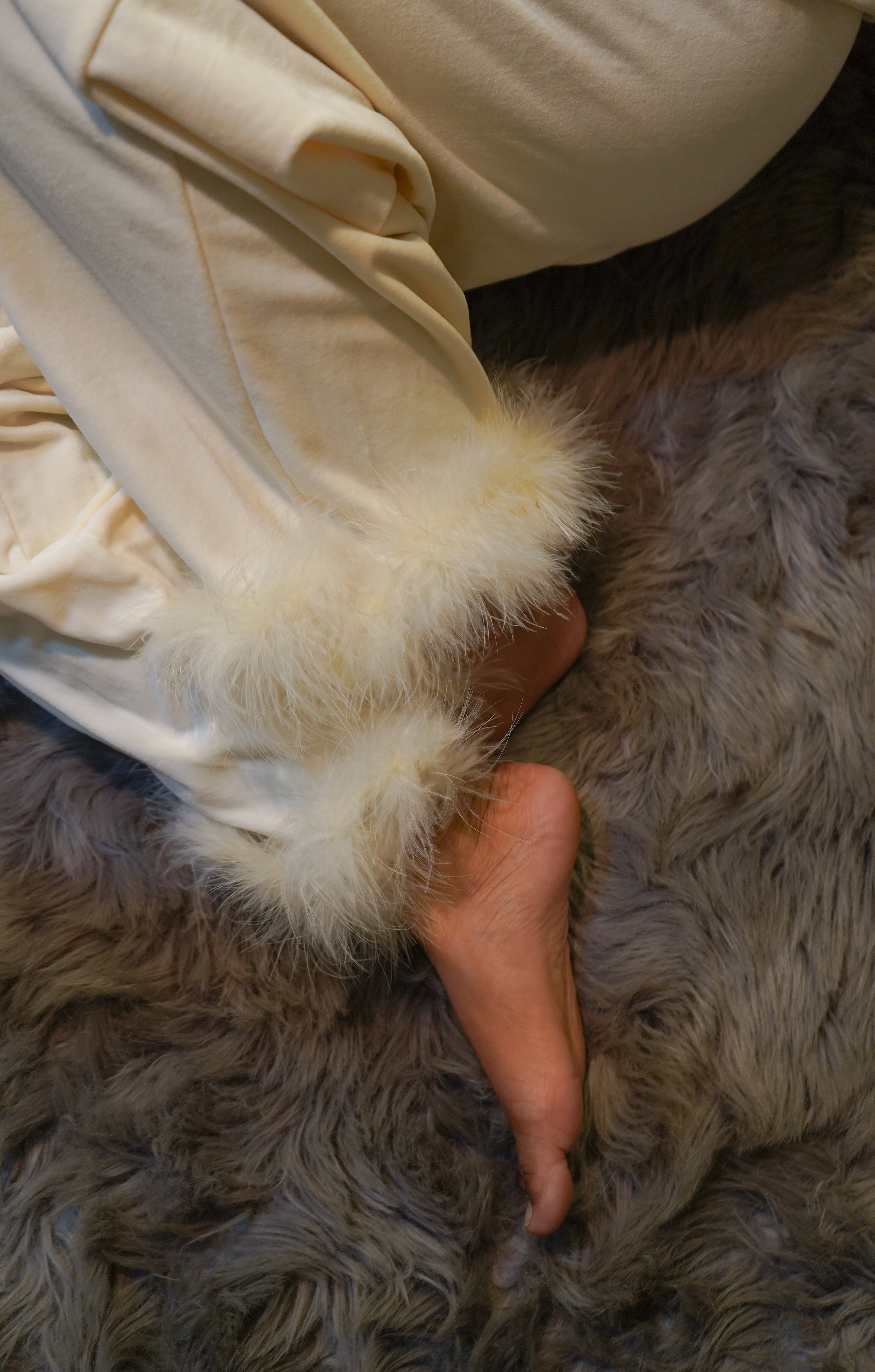 Furry Treats (limited Christmas edition)